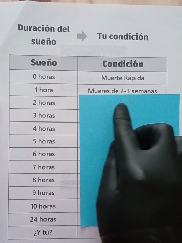 La Importancia del Sueño: ¿Cuánto Tiempo Deberías Dormir?