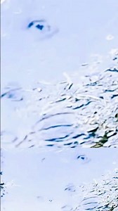 Huge Puddle Rain Sounds ASMR