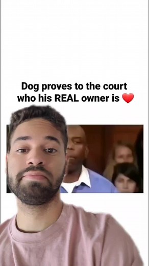 I can't stop crying 🥺🥺 #crying #wholesomevideo #court #dog #menbestfriend #fyp #foryou