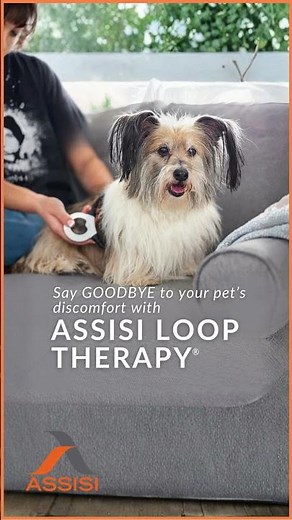 Assisi LOOP® Helps Pets Heal Faster