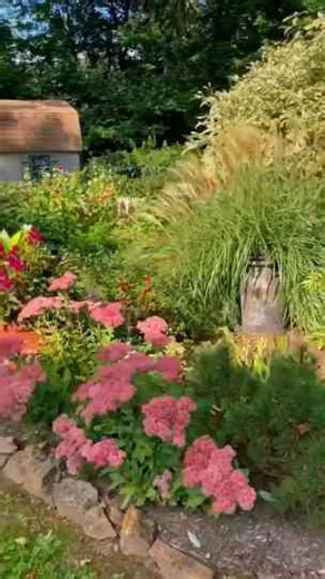 Quick Garden Tour – Zone 6a Backyard in Full Bloom