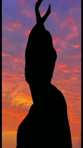 Secret Shadow Dance TikTok Compilation