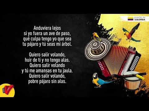 Mix Clásicos, Vallenatos Que Nunca Envejecen, Video Letras - Sentir Vallenato