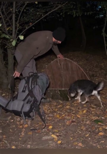 Building a Cozy Dugout Under a Tree Stump