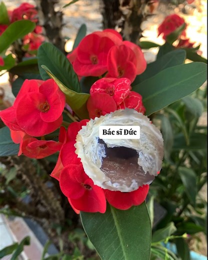 10K views · 91 reactions | Relaxing and perfect treatment with my favorite tool#60 | Reels Clips | Facebook