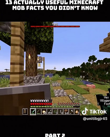 13 Useful Minecraft Mob Facts You Might Not Know
