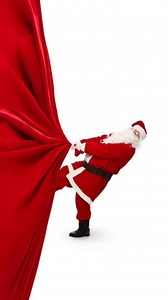 5.1K views · 116 reactions | Regina Zago on Reels | Facebook