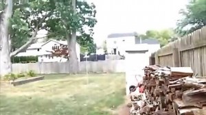 27K views · 1K reactions | Only one classic vignette in today's compilaish, which I believe makes it a compilatiONE. vicdibitetto.net | Vic DiBitetto | Facebook