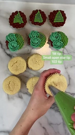 🧁 Piping tips: 1M and small open star tip from NY Cake (use my code ERIN10 there for a discount!) and @Wilton Cakes 103 tip, which you can find in my @Amazon storefront! Chocolate & vanilla buttercream recipes are on my site! Colors are combos of @Chefmaster Leaf Green, Teal Green, Forest Green, & Buckeye Brown. #cupcake #cupcakes #chocolate #frosting #yum #BVIRAL | Off The Menu