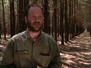 Agroforestry Practices - Forest Farming