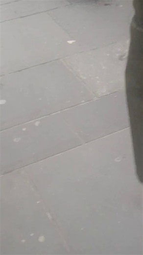🚨 10 vs 1: Migrant Mob Beats Lone Scotsman Bloody… Police Chuck Him In The Van Like Rubbish”Scotland in 2026.A single Scotsman gets savagely attacked by a pack of 10-15 migrant men on the street. Punched, kicked, left bleeding on the ground.Police arrive… and what do they do?Ignore the mob watching across the road, grab the injured victim, and dump him face-down in the back of the van. No ambulance. No care. Just another day.This isn’t protection. This is two-tier betrayal.Native Scots getting 