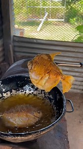 78K views · 1.4K reactions | ASMR. frito de palometas criollas. | Amigos de la Pesca. | Facebook