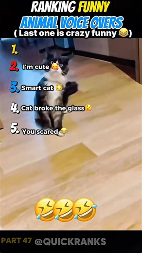 Ranking the Funniest Animal Voice Overs Ever 😂 #funny