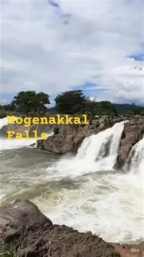 Hogenakkal Falls #shortsvideo #travel #indianexplorers #nature #ytshort #tamil #tamilnadu #trending