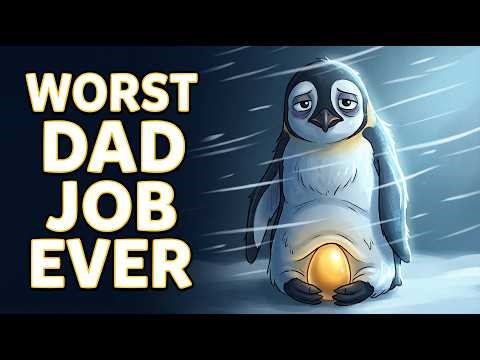 Why It Sucks to Be Born as a Male Emperor Penguin