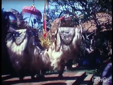Balinese Dance - 1974