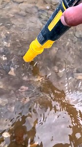 8.4K views · 50 reactions | treasure hunt on the beach | Treasure Hunter | Facebook