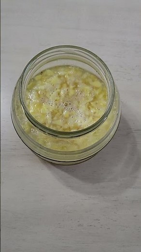 Make Your Own Ginger Ale and Fizzy Elixir: Unlock the Secret of the Ginger Bug!