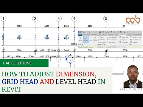 HOW TO ADJUST DIMENSION TICK, GRID HEAD AND LEVEL HEAD IN REVIT
