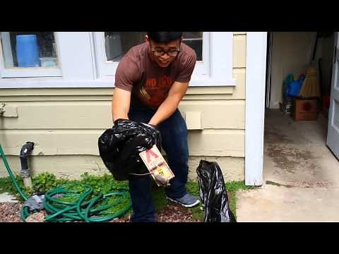 How to Dispose a Dead Rat Tutorial