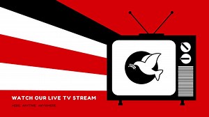 Watch Our Live TV Stream