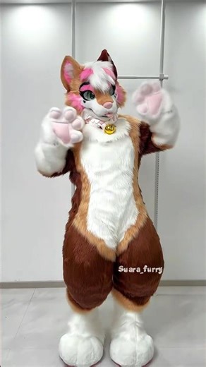 Full Fursuit Commission Showcase(›´ω`‹ )