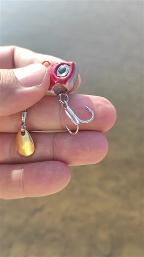 This vibration lure creates powerful flash and vibration underwater. The spinning blade attracts fish from far away, even in murky water. Compact size, deadly action — perfect for bass, perch, and predator fish. Strong hooks. Realistic color. Instant strikes. One cast is all it takes. 👉 Visit our profile homepage to shop #fishing #fishinglure #viblure #bassfishing #lurefishing