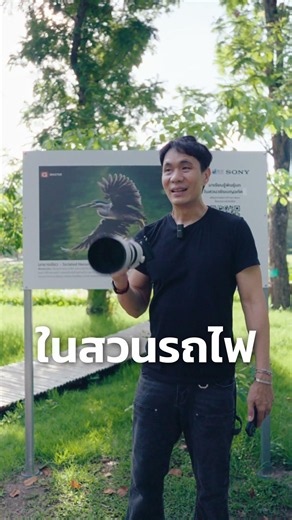 Can be used for birdwatching all day without getting tired — Sony 70-200 GM II