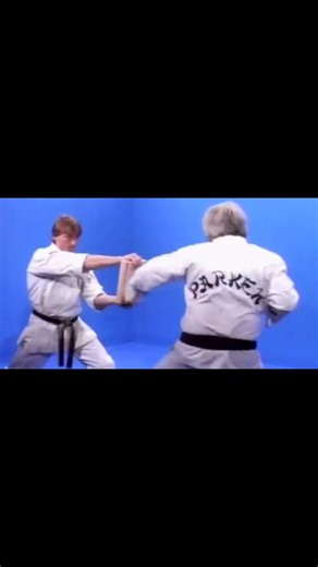 Ed Parker Breaking Demo 1985 👊🏼 | Manny Reyes Jr.