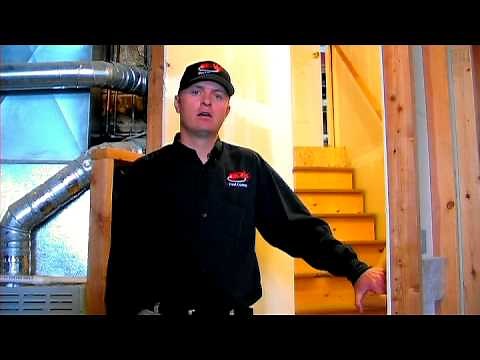Termite Control : How to Get Rid of Termites