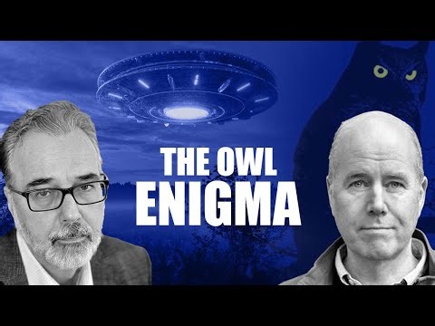 The Owl Enigma: Synchronicities, Screen Memories, & UFO Contact