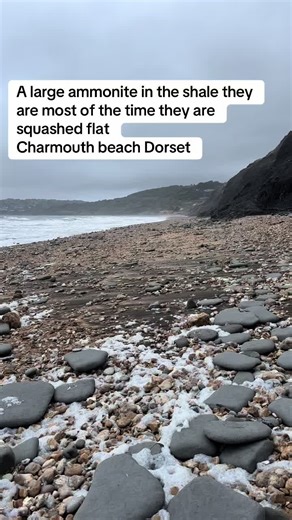 Ammonite I spotted along the Dorset Jurassic coast the other day