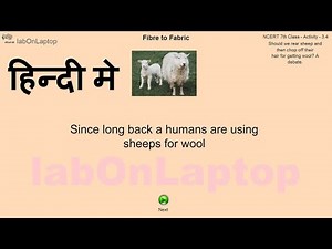 NCERT Class 7th - Activity 3.4 | Fiber to Fabrics | Sheep's Wool : A Debate | labOnLaptop