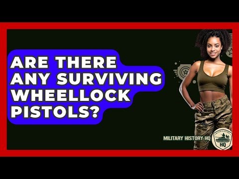 Are There Any Surviving Wheellock Pistols? - Military History HQ