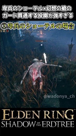 【エルデンリングDLC】卑兵のショーテル×幻想の槍のガード貫通する投擲が強すぎる #eldenring #エルデンリング