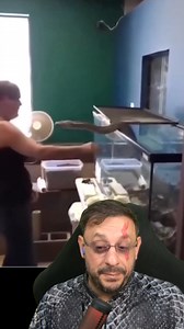 Cobra de estimação #petsnake #píton #malayopython #serpente #biologohenrique | Biólogo Henrique o Biólogo das Cobras