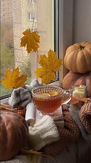 🍂 Cozy Autumn Playlist | Relaxing Fall Music for Study & Relax