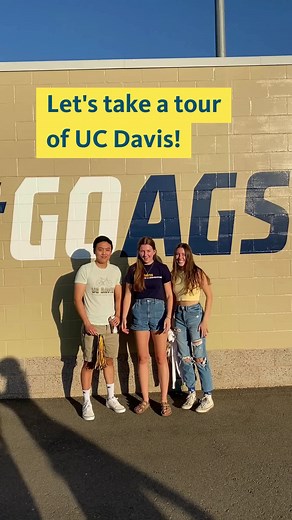One last UC tour before the fall 2024 application closes! Come with us to check out @UC Davis! Reminder that the UC application deadline is tonight! Submit yours by 11:59pm PST November 30, 2023! #UCDavis #UCD #UniversityofCalifornia #collegeapplication #apply #california #bestcolleges