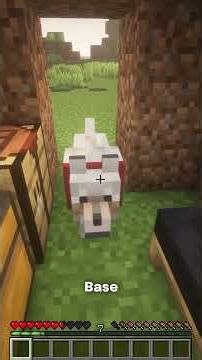 Cats are BETTER than dogs | Minecraft tips