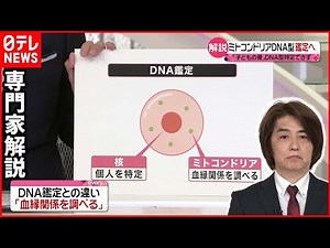 【専門家解説】“ミトコンドリアDNA型鑑定”とは