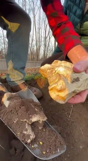 GOLD. We Were Burying Their Beloved Cat… Then Our Shovel Hit Something Unexpected