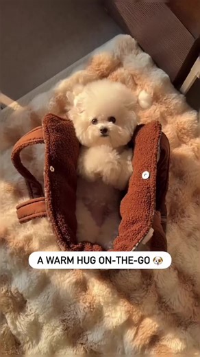 Cozy Pet Carrier for Cold Days