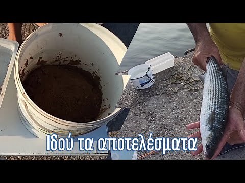 ΖΥΜΑΡΙ ΓΙΑ ΑΠΙΣΤΕΥΤΑ ΨΑΡΕΜΑΤΑ (2)