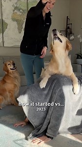 1.6M views · 49K reactions | time flies... and so does Emma  | Ellie Golden Life | Facebook