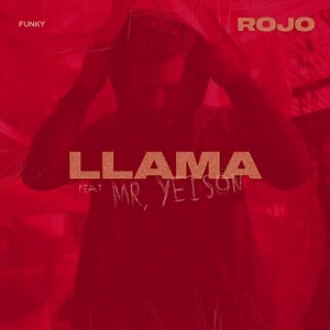 ¿Ya escuchaste el nuevo álbum Rojo? ¿Cuál es tu Favorita? A mi me gustan todas pero tengo 3 que tienen algo bien especial. ¿Cuál creen que son esas? Bueno, Si todavía no lo has escuchado búscalo en tu plataforma digital favorita y coméntame por aquí. #Rojo #ElÁlbumRojo #AmoresComoElTuyo @marcela_gandara @christianponceelsica @onelldiazmusic @mr_yeison @yosoyodanis @josephburgosmusic @inlightmusica | Funky