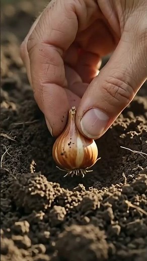 How to Plant Bulbs for Stunning Spring Blooms 🌷