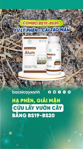 CHỦ ĐỘNG CỨU LẤY VƯỜN CÂY ĂN TRÁI TRƯỚC NẠN PHÈN, MẶN BẰNG COMBO BS19 - BS20