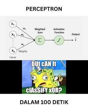 Perceptron dalam 100 Detik