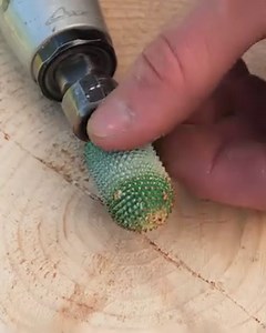 3.9M views · 24K reactions | Burnt Stump Coffee Table! | DeMilked | Facebook