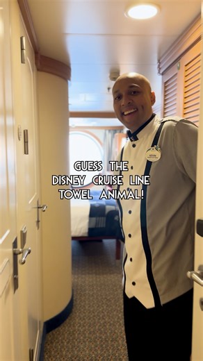 304K views · 3.3K reactions | Disney Cruise Line towel animals = ❤️ Share a photo of your favourite towel animal that you've had in your stateroom! ✨ | Disney Cruise Line | Facebook